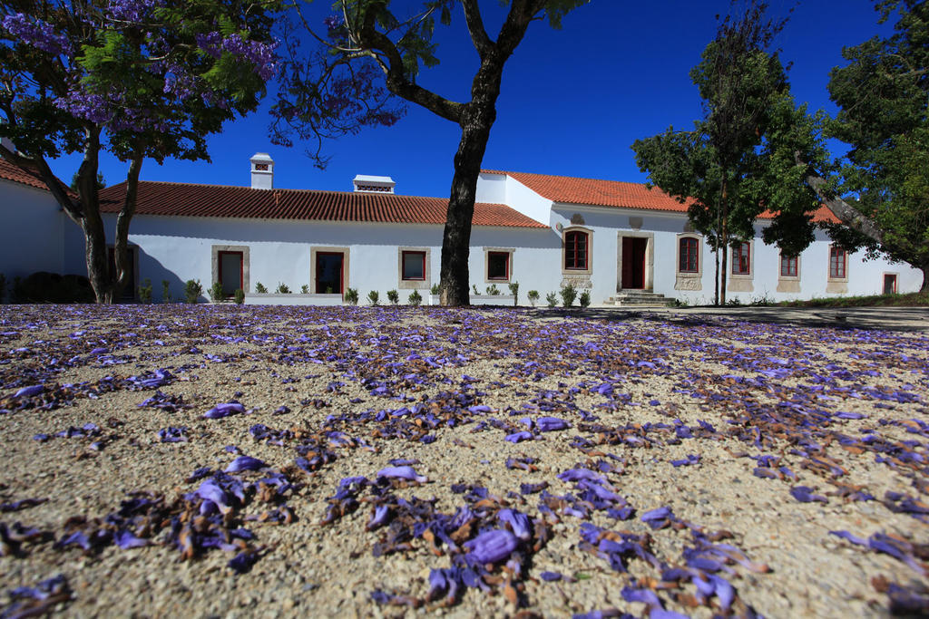 Quinta Da Lapa Hotell Manique do Intendente Exteriör bild